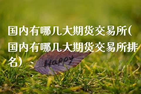 国内有哪几大期货交易所(国内有哪几大期货交易所排名)