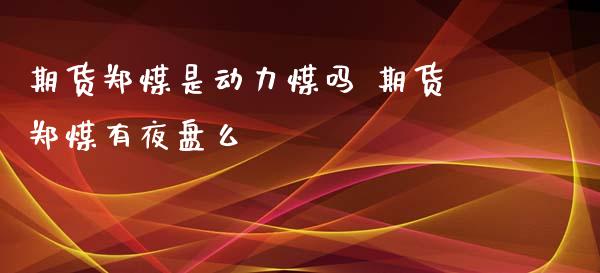 期货郑煤是动力煤吗 期货郑煤有夜盘么