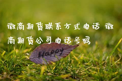 徽商期货电话 徽商期货公司电话号码_财经要闻_第1张_宇龙理财网 徽商期货电话 徽商期货公司电话号码_https://www.dglong8.com_财经要闻_第1张