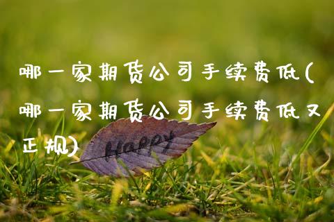 哪一家期货公司手续费低(哪一家期货公司手续费低又正规)