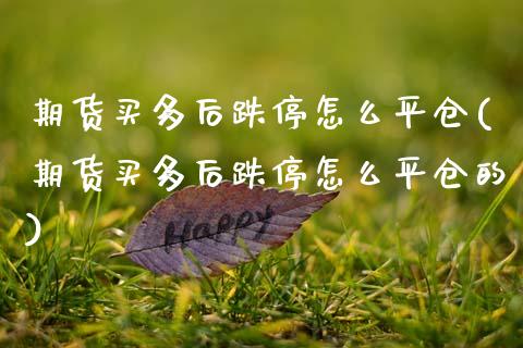 期货买多后跌停怎么平仓(期货买多后跌停怎么平仓的)