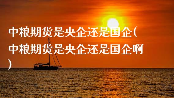 期货是央企还是国企(期货是央企还是国企啊)