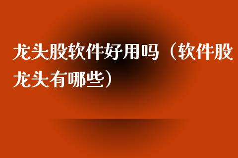 龙头股软件好用吗（软件股龙头有哪些）