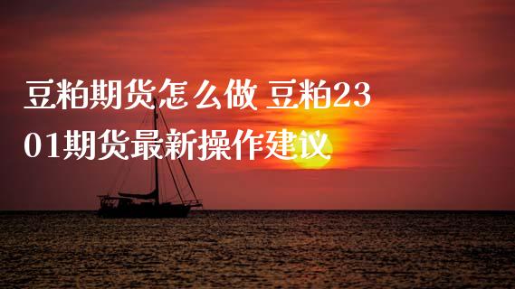 豆粕期货怎么做 豆粕2301期货最新操作建议