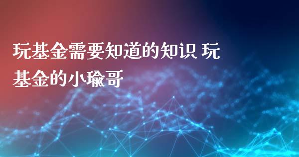 玩基金需要知道的知识 玩基金的小瑜哥