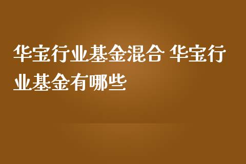 华宝行业基金混合 华宝行业基金有哪些_基金理财_第1张_宇龙理财网 华宝行业基金混合 华宝行业基金有哪些_https://www.dglong8.com_基金理财_第1张