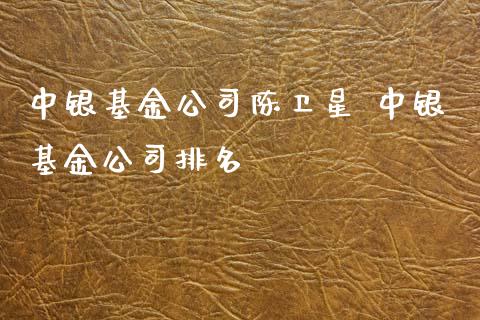 中银基金公司陈卫星 中银基金公司排名