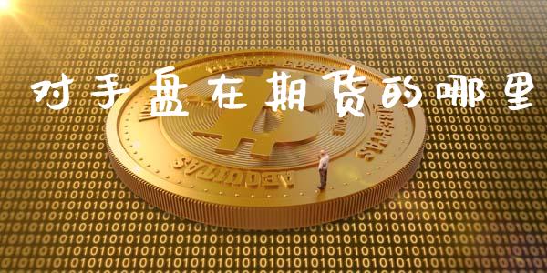 对手盘在期货的哪里
