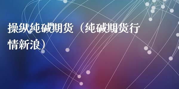 操纵纯碱期货（纯碱期货行情新浪）