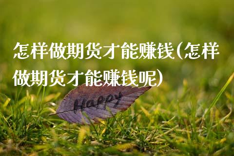 怎样做期货才能赚钱(怎样做期货才能赚钱呢)