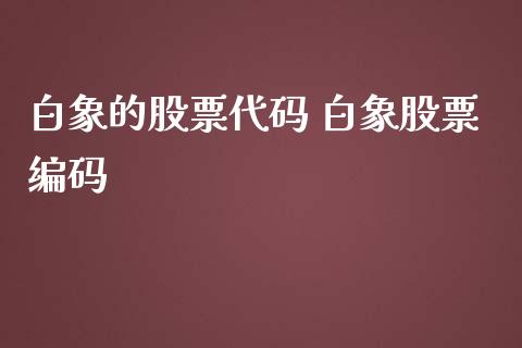 白象的股票代码 白象股票编码_股票理财_第1张_宇龙理财网 白象的股票代码 白象股票编码_https://www.dglong8.com_股票理财_第1张