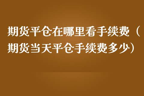 期货平仓在哪里看手续费（期货当天平仓手续费多少）