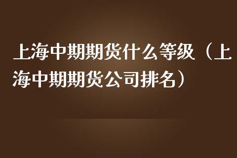 上海中期期货什么等级（上海中期期货公司排名）