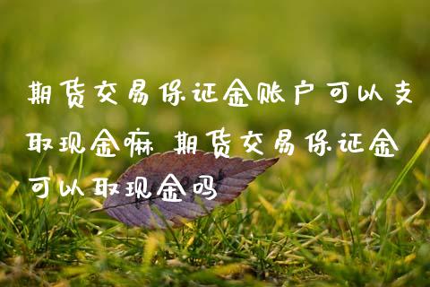 期货交易保证金账户可以支取现金嘛 期货交易保证金可以取现金吗_https://www.dglong8.com_理财百科_第1张