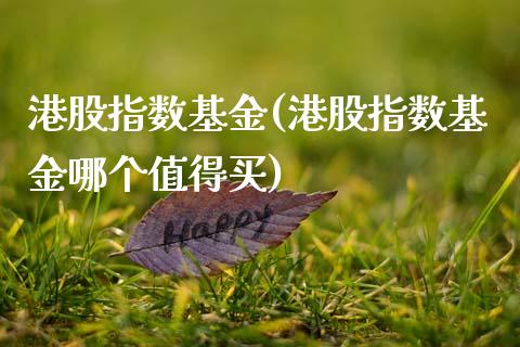 港股指数基金(港股指数基金哪个值得买)
