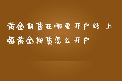 黄金期货在哪里开户好 上海黄金期货怎么开户