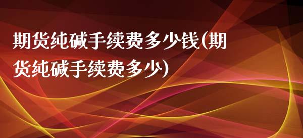 期货纯碱手续费多少钱(期货纯碱手续费多少)