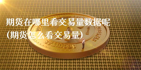 期货在哪里看交易量数据呢(期货怎么看交易量)