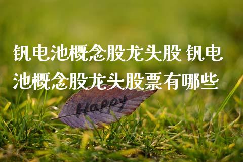 钒电池概念股龙头股 钒电池概念股龙头股票有哪些