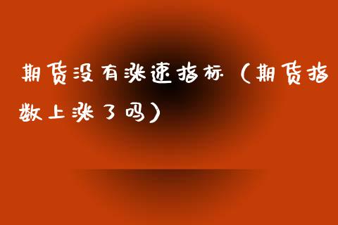 期货没有涨速指标（期货指数上涨了吗）