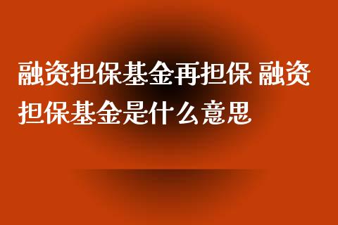 融资基金再 融资基金是什么意思