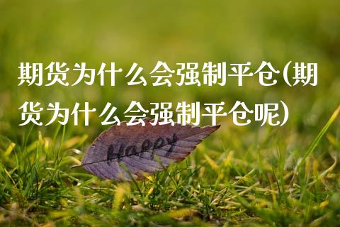 期货为什么会强制平仓(期货为什么会强制平仓呢)