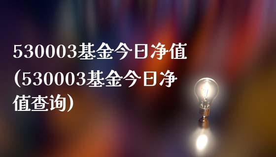 530003基金今日净值(530003基金今日净值查询)