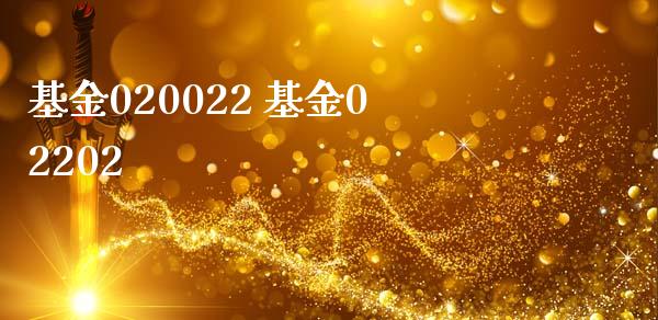 基金020022 基金02202