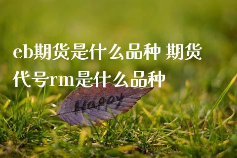 eb期货是什么品种 期货代号rm是什么品种