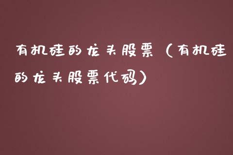 有机硅的龙头股票（有机硅的龙头股票代码）