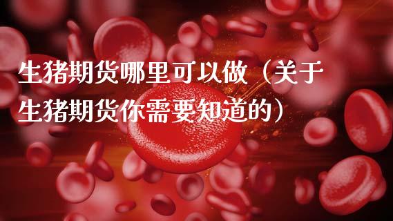 生猪期货哪里可以做（关于生猪期货你需要知道的）