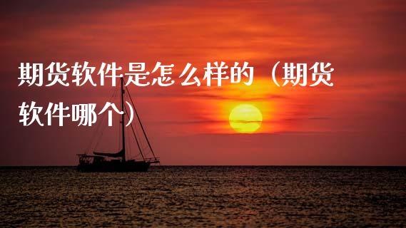 期货软件是怎么样的（期货软件哪个）