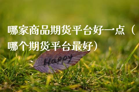 哪家商品期货平台好一点（哪个期货平台最好）