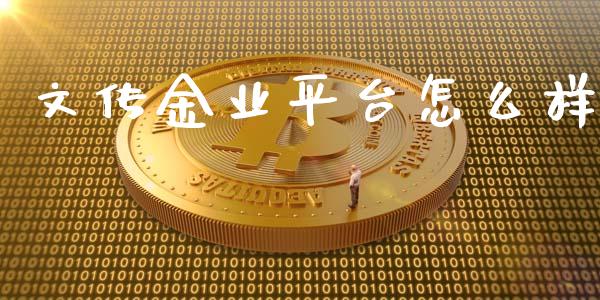 文传金业平台怎么样