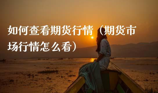 如何查看期货行情（期货市场行情怎么看）