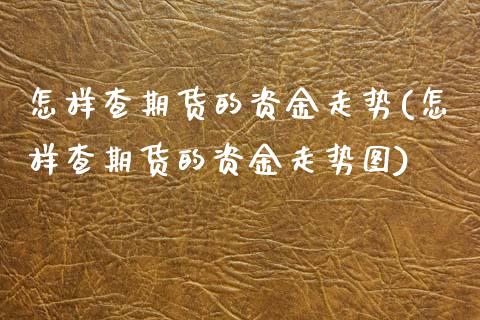 怎样查期货的资金走势(怎样查期货的资金走势图)