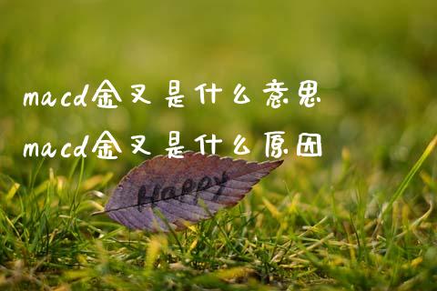 macd金叉是什么意思 macd金叉是什么原因