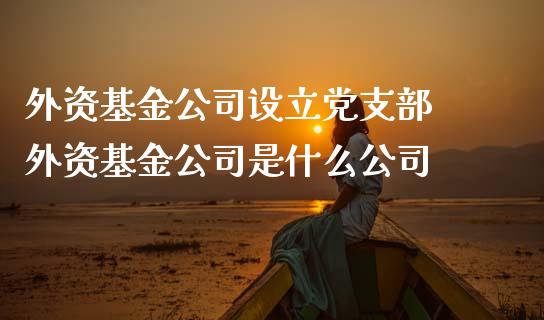 外资基金公司设立支部 外资基金公司是什么公司