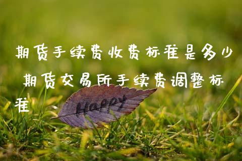 期货手续费收费标准是多少 期货交易所手续费调整标准