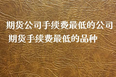 期货公司手续费最低的公司 期货手续费最低的品种