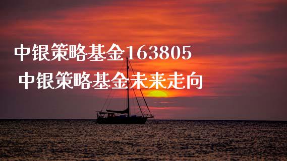 中银策略基金163805 中银策略基金未来走向