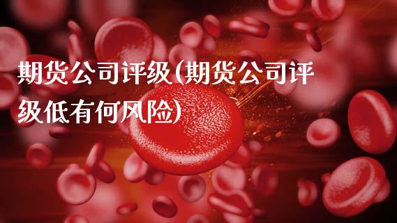 期货公司评级(期货公司评级低有何风险)_期货理财_第1张_宇龙理财网 期货公司评级(期货公司评级低有何风险)_https://www.dglong8.com_期货理财_第1张