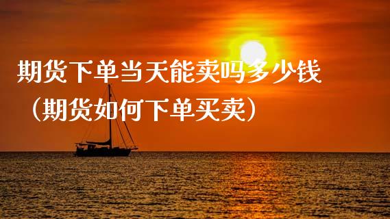 期货下单当天能卖吗多少钱（期货如何下单买卖）