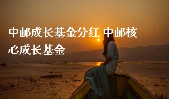 中邮成长基金分红 中邮核心成长基金_https://www.dglong8.com_基金理财_第1张