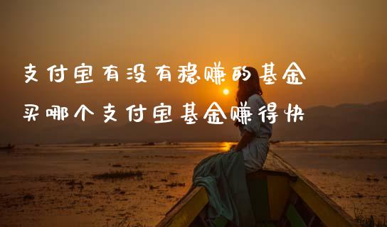 支付宝有没有稳赚的基金 买哪个支付宝基金赚得快
