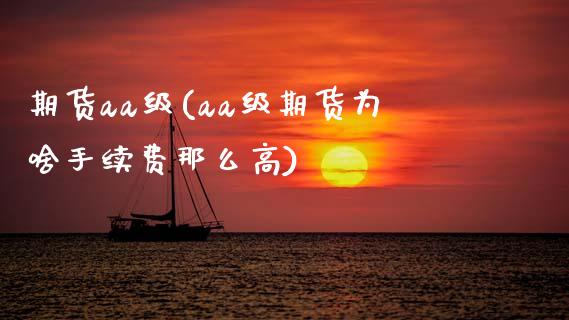 期货aa级(aa级期货为啥手续费那么高)