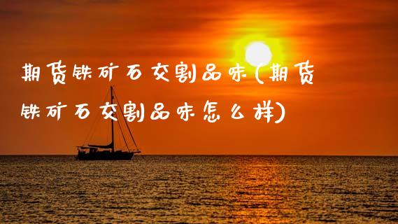 期货铁矿石交割品味(期货铁矿石交割品味怎么样)