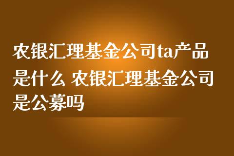 农银汇理基金公司ta产品是什么 农银汇理基金公司是公募吗