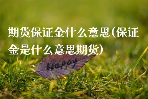 期货保证金什么意思(保证金是什么意思期货)