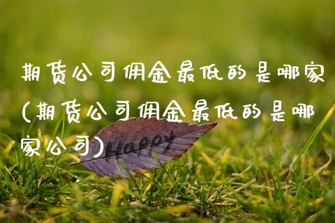 期货公司佣金最低的是哪家(期货公司佣金最低的是哪家公司)